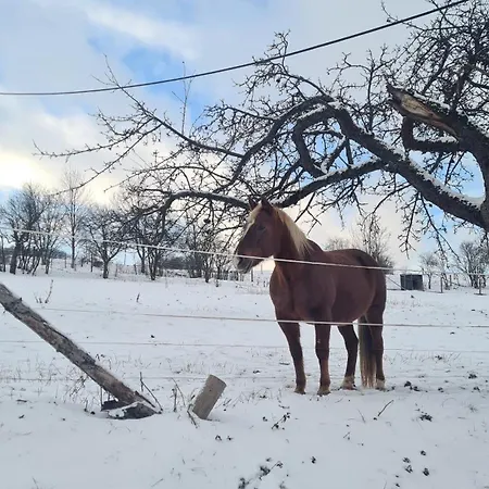 Malá Valaška Ratibor (Zlin)