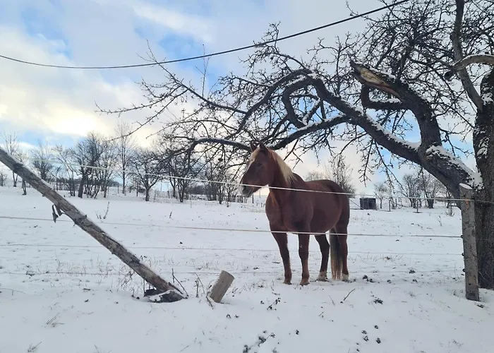 Mala Valaska Ratibor (Zlin)